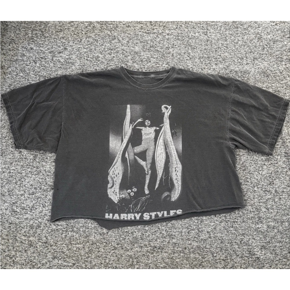 Harry Styles Do You Know Who You Are Gray Distressed Crop T-Shirt